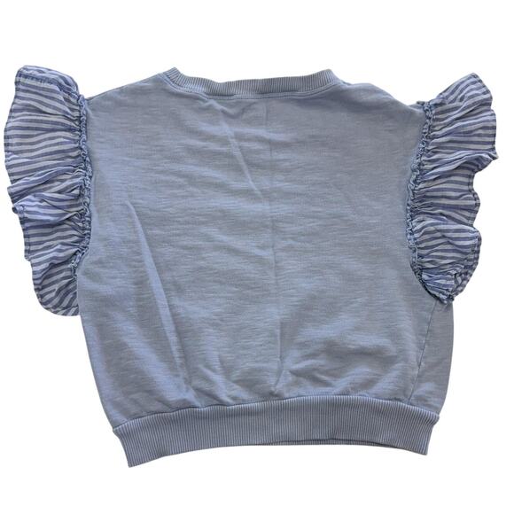 Pilcro Shirt Womens XS Blue Ruffle Flutter Sleeve Cotton Knit Striped Ribbed Hem - Picture 2 of 9